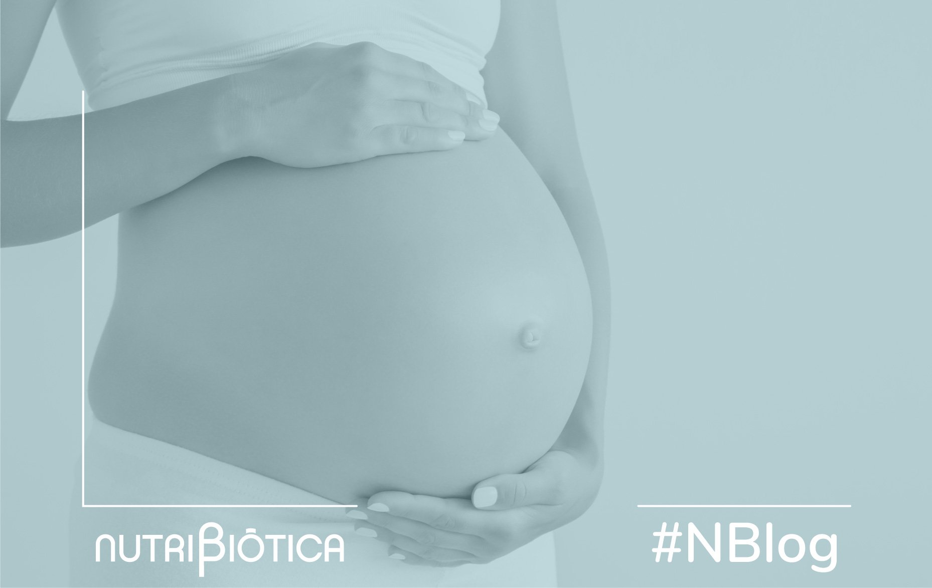 probióticos en el embarazo bifidobacterias
